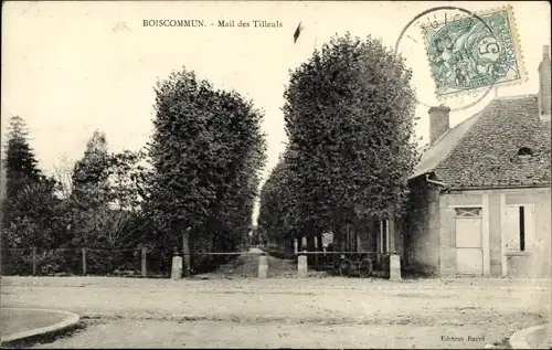 Ak Boiscommun Loiret, Mail des Tilleuls