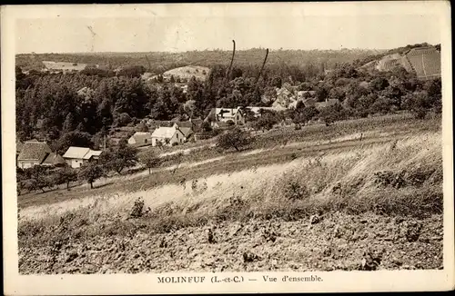 Ak Molineuf Loir et Cher, Vue d'ensemble