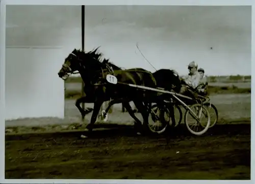 Foto Trabrennbahn Karlshorst, Sommer Flieger Preis 1950, Traber Lortzing, Fahrer G. Krüger