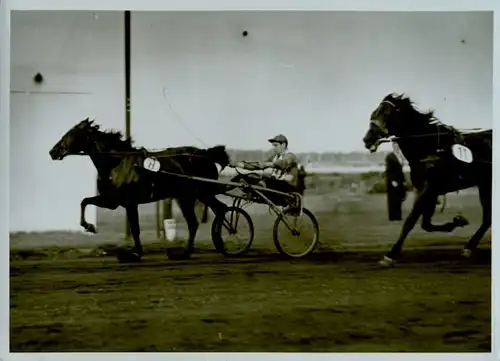 Foto Trabrennbahn Karlshorst, Sommer Flieger Preis 1950, Traber Sichel, Fahrer H. Malik