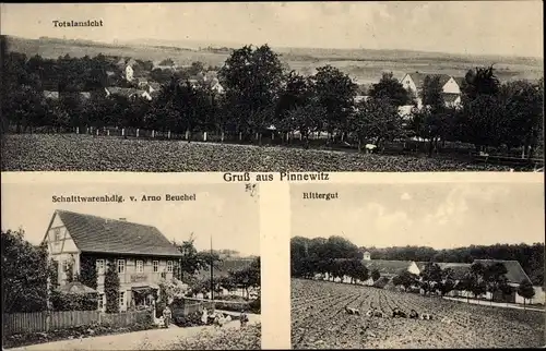 Ak Pinnewitz Nossen in Sachsen, Rittergut, Schnittwarenhandlung, Blick auf den Ort