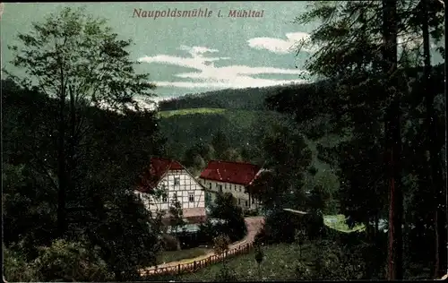 Ak Eisenberg in Thüringen, Mühltal, Naupoldsmühle