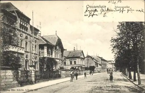 Ak Großenhain in Sachsen, Blick in die Johannesallee