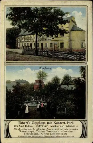 Ak Mittelbach Chemnitz in Sachsen, Eckert's Gasthaus mit Konzert Park, Obstplantage