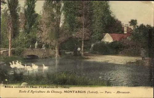 Ak Montargis Loiret, Ecole d'Agriculture du Chesnoy, Parc, Abreuvoir