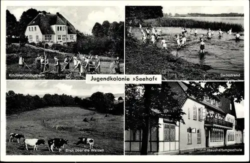 Ak Plön in Holstein, Jugendkolonie Seehof der Heilsarmee, Badestrand, Blick über die Weiden