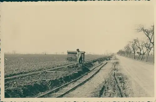 Foto Ak Pretzsch an der Elbe Bad Schmiedeberg, Straße nach Wittenberg, Straßenbau