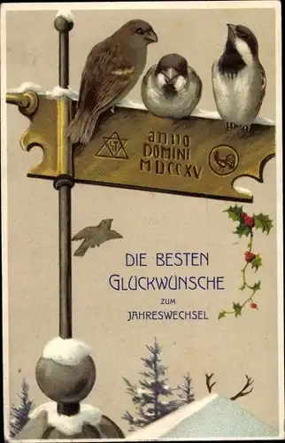 Präge Ak Glückwunsch Neujahr, Spatzen auf einem Schild, MDCCXV, Stechpalmenzweige