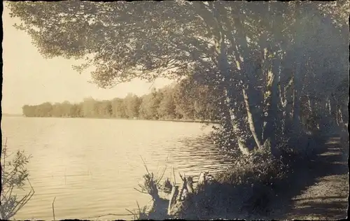 Foto Ak Plön in Holstein, Blick aufs Wasser