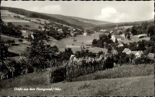 Ak Haingrund Lützelbach im Odenwald Hessen, Panorama