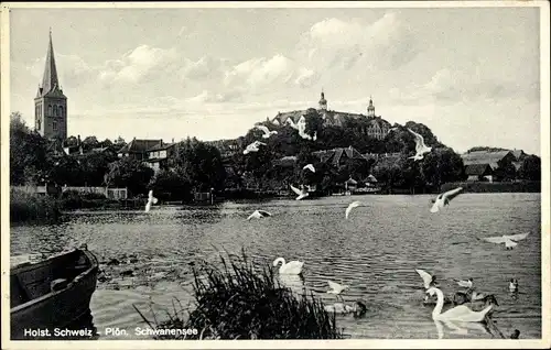 Ak Plön in Holstein, Schwanensee, Schloss, Kirche