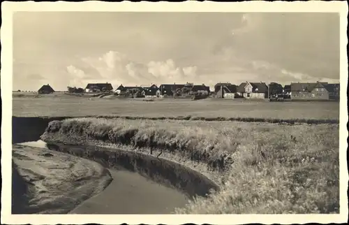 Ak Norddorf auf Amrum Nordfriesland, Am Wiesenrand, Ortsblick