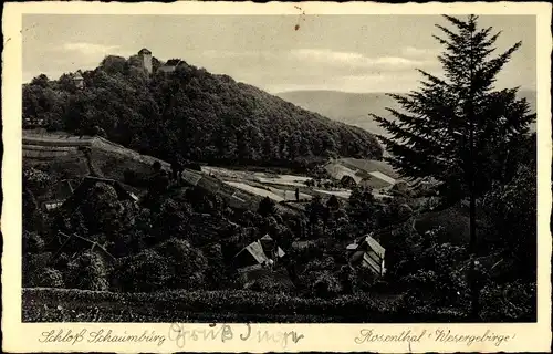 Ak Rinteln Weserbergland, Schloss Schaumburg mit Rosental