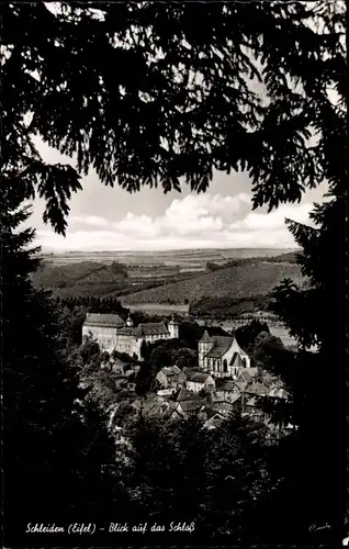 Ak Schleiden in der Eifel, Durchblick zum Schloss