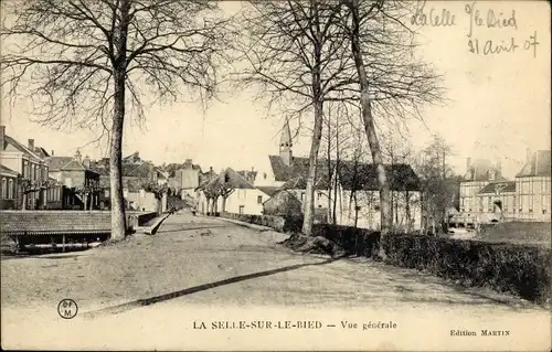 Ak La Selle sur le Bied Loiret, Vue generale