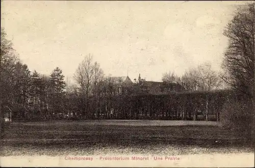 Ak Champrosay Essonne, Preventorium Minoret, Une Prairie