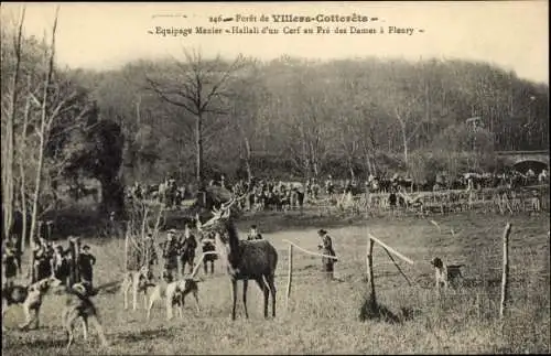Ak Villers Cotterêts Aisne, Foret, Equipage Menier, Jagd, Hirsch