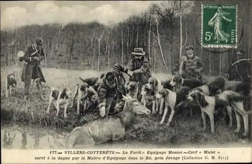 Ak Villers Cotterêts Aisne, La Foret, Equipage Menier, Cerf Mulet