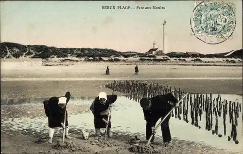 Ak Berck Plage Pas de Calais, Parc aux Moules