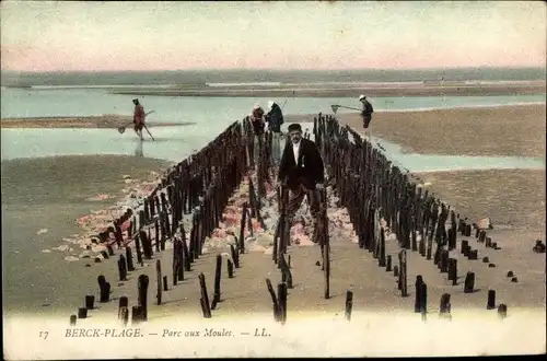 Ak Berck Plage Pas de Calais, Parc aux Moules