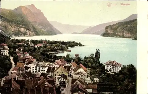 Ak Weesen Kanton Sankt Gallen, Gesamtansicht