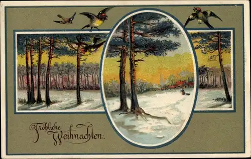 Ak Glückwunsch Weihnachten, Winterlandschaft bei Abendlicht, Dorf, Vögel