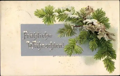 Ak Glückwunsch Weihnachten, Tannenzweige