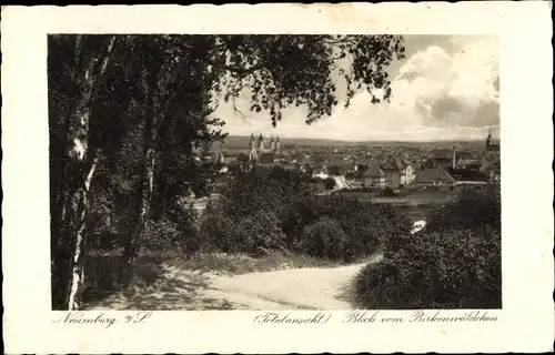 Ak Naumburg an der Saale, Teilansicht vom Birkenwäldchen