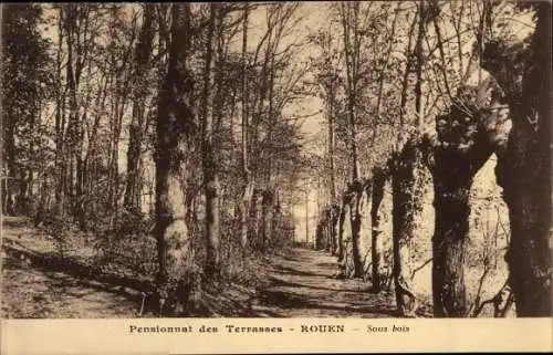 Ak Rouen Seine Maritime, Pensionnat des Terrasses, Sous bois