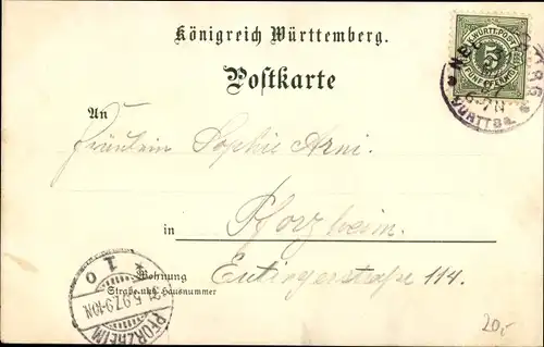 Litho Neuenbürg im Schwarzwald Württemberg, Schloss, Straßenpartie, Totalansicht