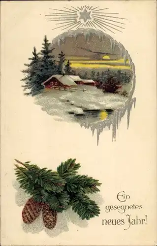 Ak Glückwunsch Neujahr, Winterlandschaft im Mondschein, Tannenzweig