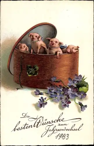Ak Glückwunsch Neujahr, Schweine in einer Schachtel, Ferkel, Kleeblatt, Veilchen