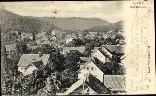 Ak Bad Suderode Quedlinburg im Harz, Teilansicht