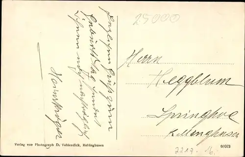 Ak Kellinghusen in Holstein, Gesamtansicht