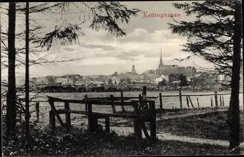 Ak Kellinghusen in Holstein, Stadtansicht