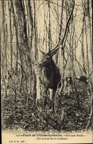 Ak Villers Cotterêts Aisne, Foret, Equipage Menier, Cerf