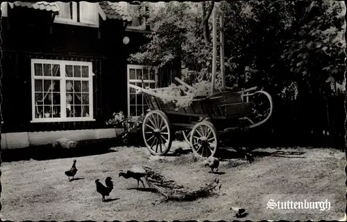 Ak Monnikendam Waterland Nordholland Niederlande, Hühner, Pfau, Hotel Cafe Restaurant Stuttenburgh