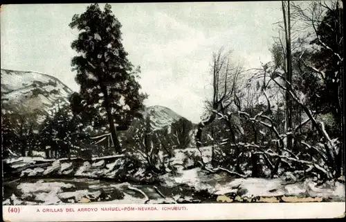 Ak Argentinien, A Orillas del Arroyo Nahuel Pom Nevada