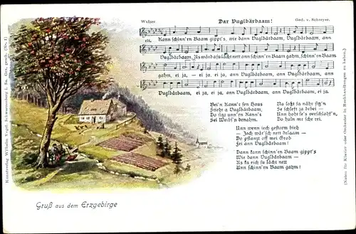 Lied Ak Vogel, Wilhelm, Dar Vuglbärbaam, Erzgebirge