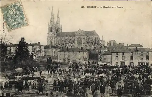 Ak Cholet Maine et Loire, Le Marche aux Boeufs