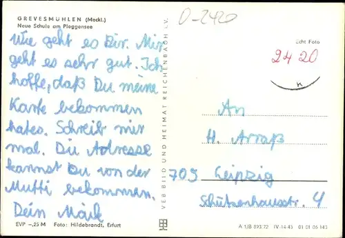 Ak Grevesmühlen in Mecklenburg, Neue Schule am Ploggensee, Schüler in Sportkleidung