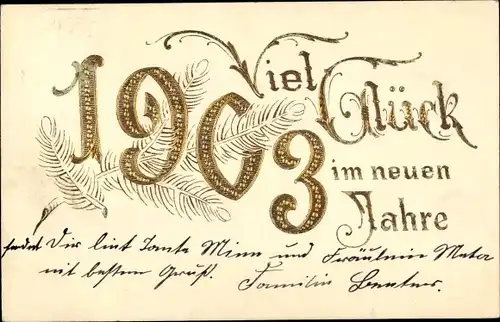 Präge Litho Glückwunsch Neujahr, Jahreszahl 1903, Tannenzweig