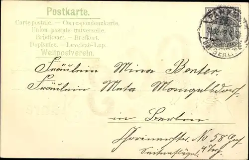Präge Litho Glückwunsch Neujahr, Jahreszahl 1903, Tannenzweig