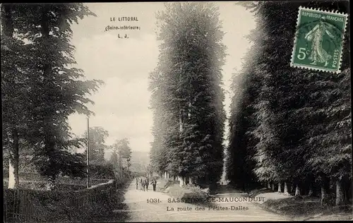 Ak Sassetot le Mauconduit Seine Maritime, La route des Petites Dalles