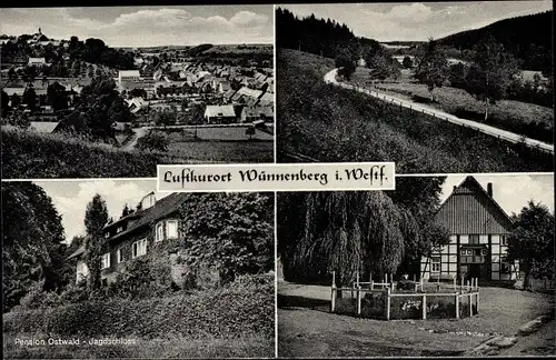 Ak Bad Wünnenberg in Westfalen, Teilansicht, Wald, Pension Ostwald, Jagdschloss