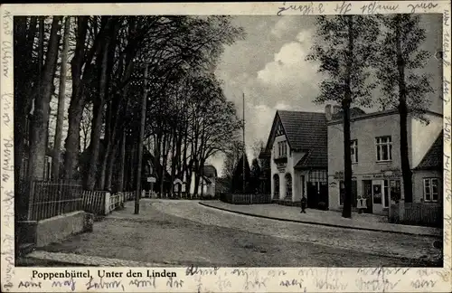 Ak Hamburg Wandsbek Poppenbüttel, Unter den Linden