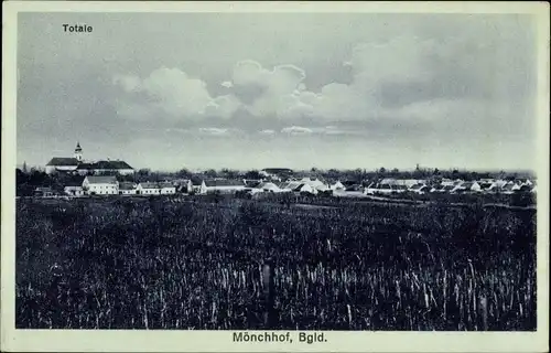 Ak Mönchhof Burgenland, Totalansicht