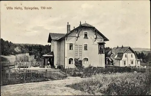 Ak Spiegelau im Bayerischen Wald Niederbayern, Villa Nelly