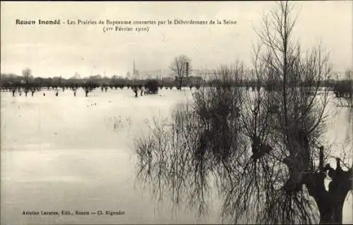 Ak Rouen Seine Maritime, Inonde, Les Prairies de Bapeaume couvertes par le Debordement de la Seine