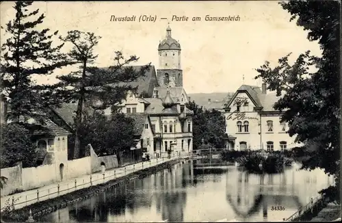 Ak Neustadt an der Orla, Partie am Gamsenteich